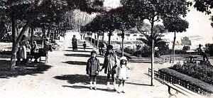 2507- Oran - Nouveaux Jardins- Promenade2
